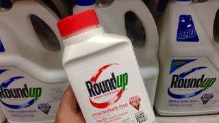 EPA's Roundup Classification Is Flawed. A Cross-Ideological Supreme Court Ruling Made It Harder to Challenge. (the pebble). Photo by Mike Mozart (CC BY 2.0)