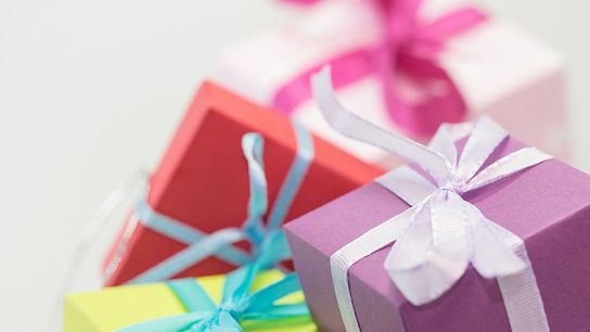 Give the Gift of The Pebble This Holiday Season (the pebble)