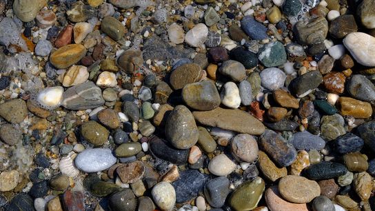 Introducing The Pebble: The Sweaty Penguin's New Exclusive Newsletter (the pebble)